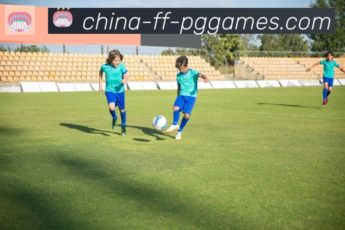 PG模拟器官方网站荣誉